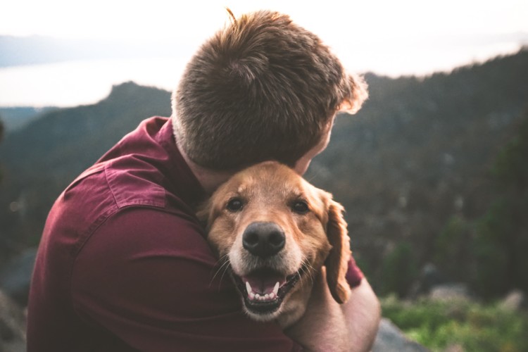 Wellbeing for our pets