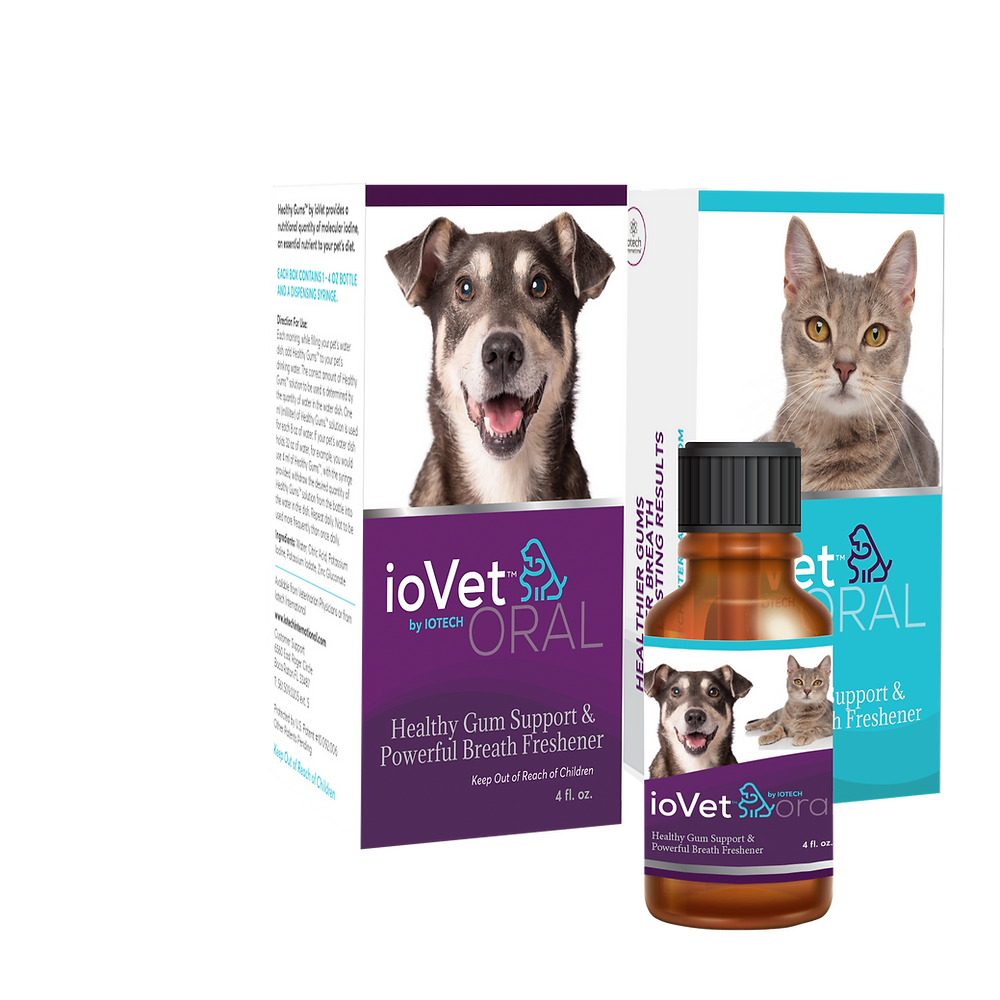 ioVet Oral
